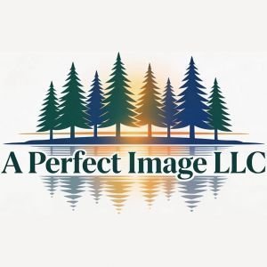 A Perfect Image LLC