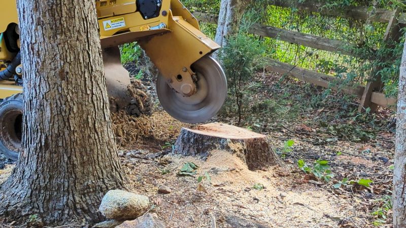 Local Stump Grinding Services pros at work
