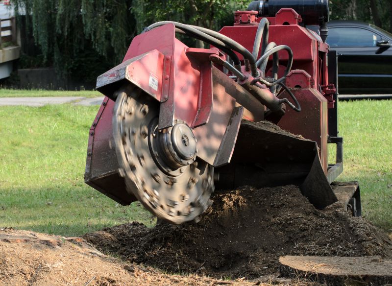 Contact About Stump Grinding Services