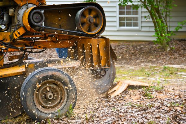 Grow your Stump Grinding Services business