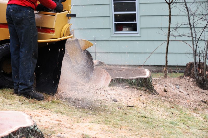 Stump Grinding Services
