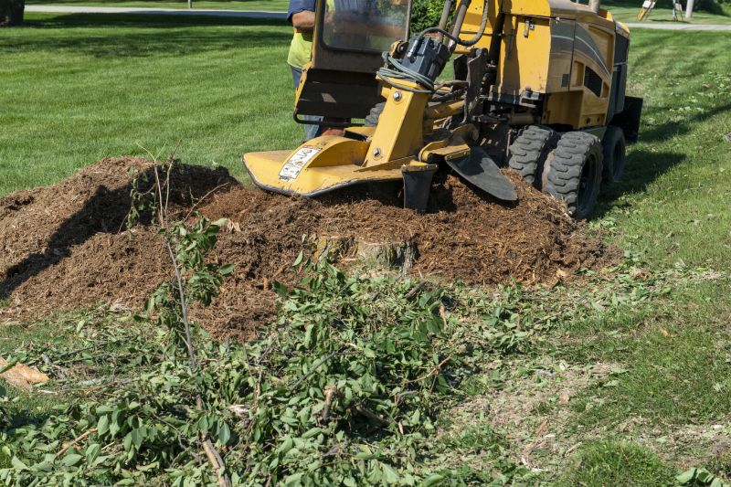 stump grinding services