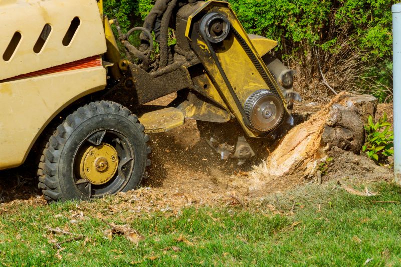 stump grinding services