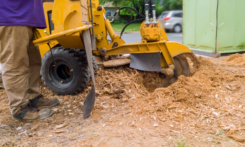 Stump Grinding Services