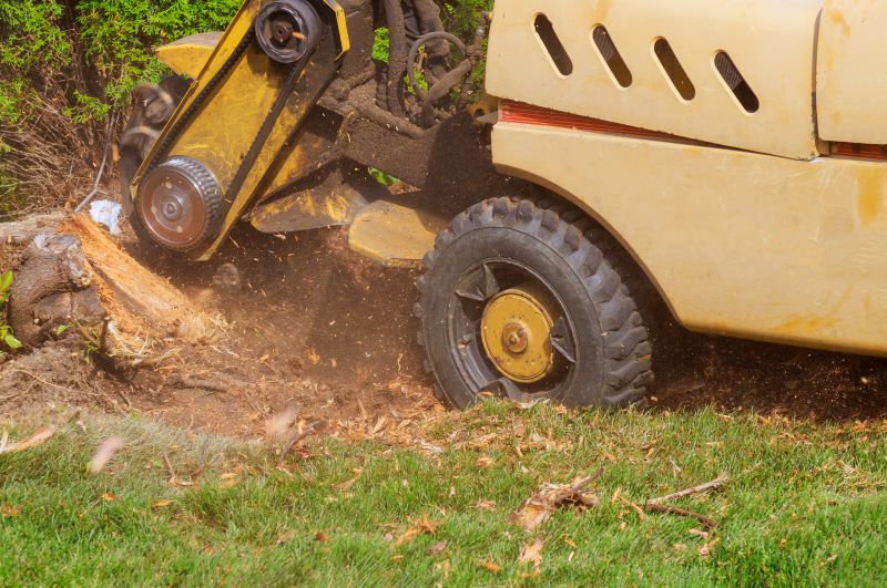 Operator Grinding a Stump