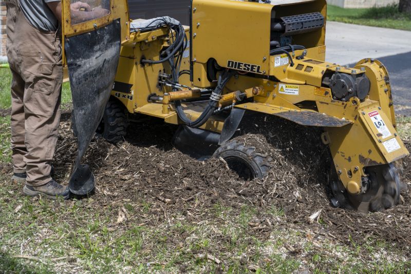 Preparing for Stump Grinding