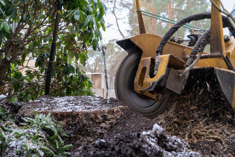 Stump Grinding Services