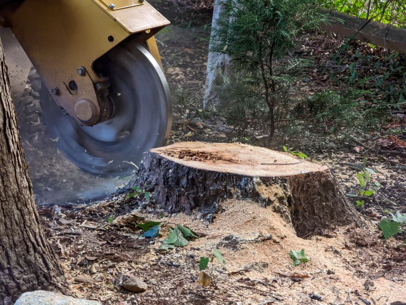 Stump Grinding Services