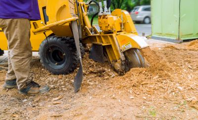 Stump Grinding Services