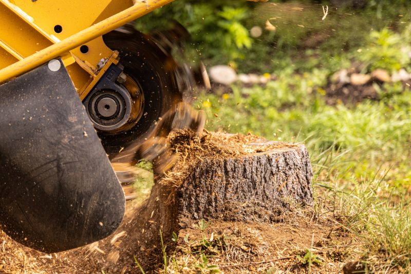 Stump Grinding Services
