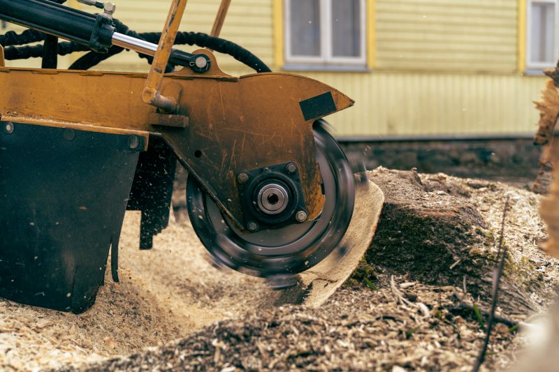 Stump Grinding Services