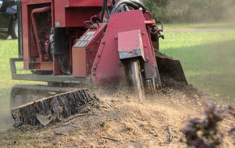Stump Grinding Services