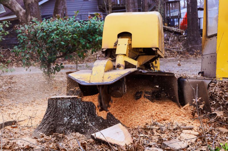Stump Grinding Services