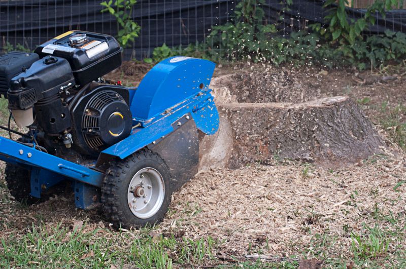 Stump Grinding Services