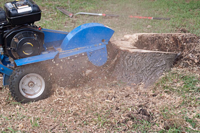 stump grinding services